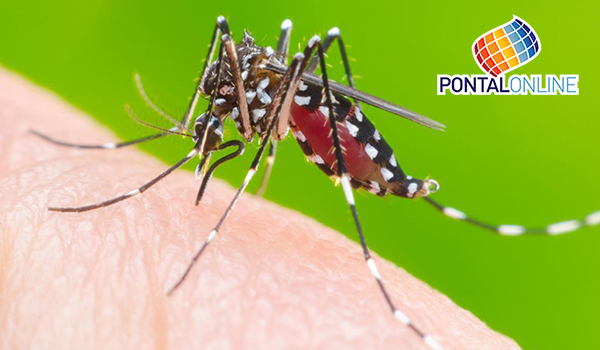 Minas Gerais registra 484 mil casos prováveis de dengue