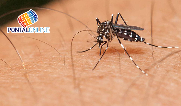 Uberaba tem uma morte por dengue em investigação
