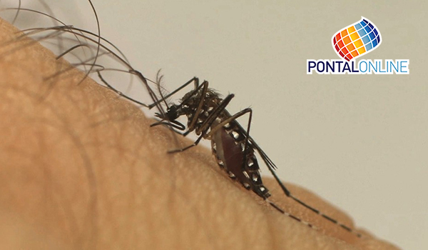 Triângulo Mineiro registra mais casos de dengue grave e com sinal de alarme