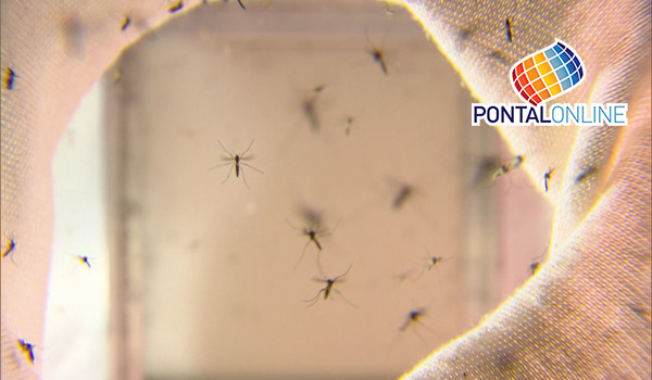 Estado divulga casos de dengue, zika e chikungunya: Campina Verde tem morte confirmada