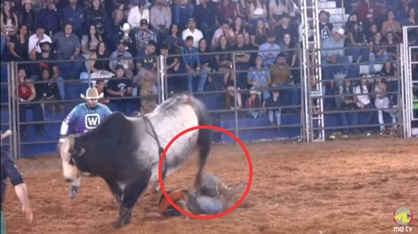 CAMPEÃO, SONHADOR E DE RISADA ALTA: QUEM ERA O PEÃO MINEIRO QUE MORREU PISOTEADO POR TOURO DURANTE RODEIO NO INTERIOR DE SP