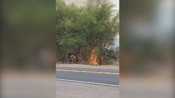 DOIS HOMENS SÃO PRESOS APÓS ATEAREM FOGO ÀS MARGENS DE RODOVIA NO INTERIOR DE SP