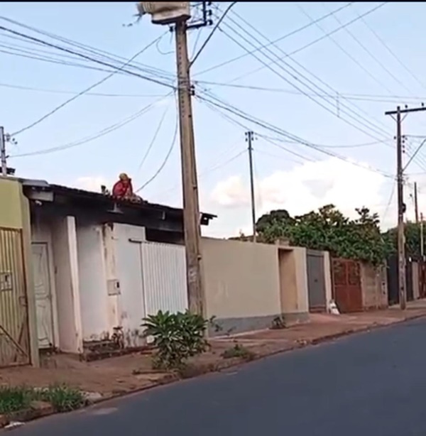 HOMEM TOMA CHOQUE AO TENTAR TIRAR NINHO DE PASSARINHO DA REDE ELÉTRICA