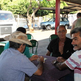 Verão Vivo - Escola Necime Lopes 2020-1